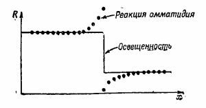 Маленькое изображение