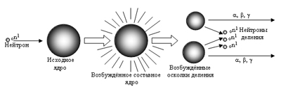 Реферат: Реакция деления ядер. Жизненный цикл нейтронов